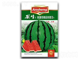 ���ز羫Ʒ������-��������-����