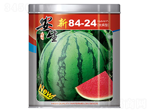 ��8424-��������-����