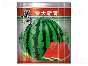 �ش�����-��������-����