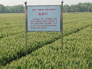 ����77-С������-������ҵ