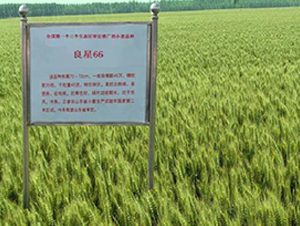 ����66-С������-������ҵ