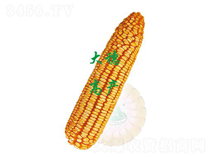 ũ��364-��������-ԣ����ҵ