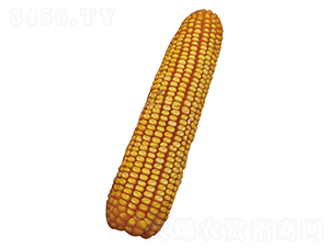ԣ��101-��������-ԣ����ҵ