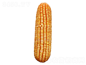 ����309-��������-ԣ����ҵ