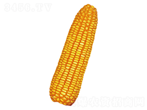 ����5-��������-ԣ����ҵ