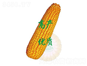 ����358-��������-ԣ����ҵ