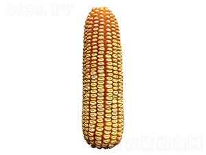���612-��������-ԣ����ҵ