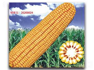 �Ǻ�618-��������-��ͷ��