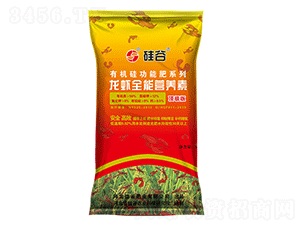 �л�����Ϻȫ��Ӫ���أ������棩-���