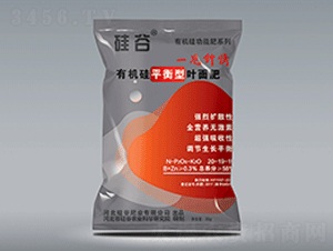 �л���ƽ����Ҷ���-���