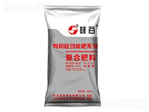 �л��踴�Ϸ���17-17-17-���