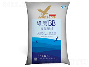 �������26-6-19-��ӥBB-������