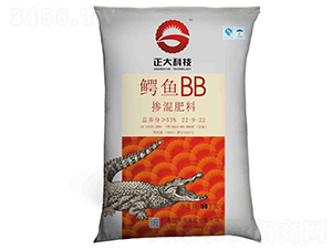 �������22-9-22-����BB-������