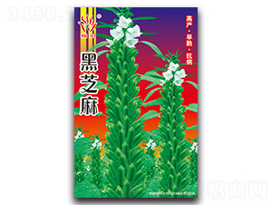 ��֥��-֥������-������ҵ