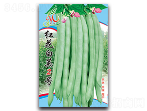 �컨�׼�2��-��������-������ҵ