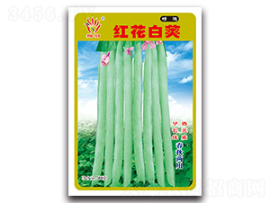�컨�׼�-��������-������ҵ