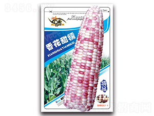 �㻨��Ŵ-Ŵ��������-������ҵ
