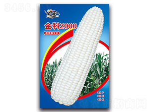 ���2000-Ŵ��������-������ҵ