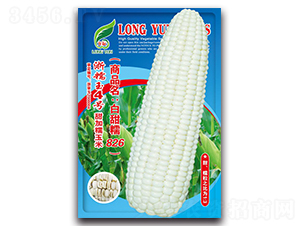 �׼�Ŵ826-Ŵ��������-������ҵ