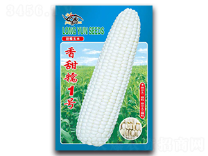 ����Ŵ1��-Ŵ��������-������ҵ