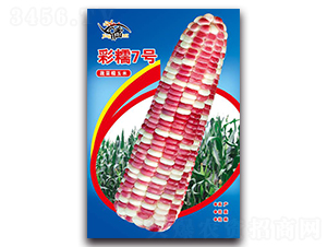 ��Ŵ7��-Ŵ��������-������ҵ