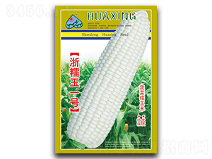 ��Ŵ��һ��-Ŵ��������-������ҵ