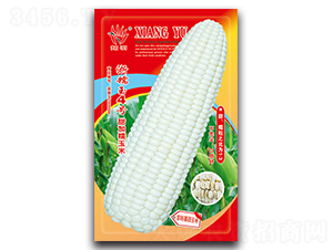 ������Ŵ��4��-Ŵ��������-������ҵ