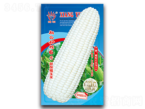 �����Ŵ6��-Ŵ��������-������ҵ
