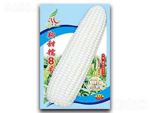 ����Ŵ8��-Ŵ��������-������ҵ