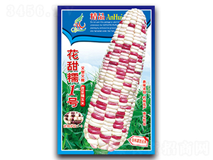 ����Ŵ1��-Ŵ��������-������ҵ