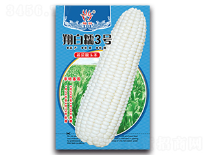 ���Ŵ3��-Ŵ��������-������ҵ