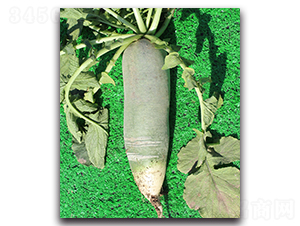 ³�ܲ�һ��-�ܲ�����-³����ҵ
