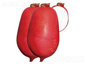 �������1��-�ܲ�����-³����ҵ