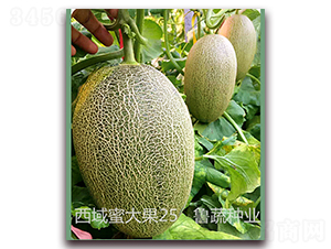 �����۴��25-�������-³����ҵ