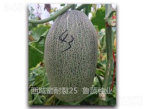 ����������25-�������-³����ҵ
