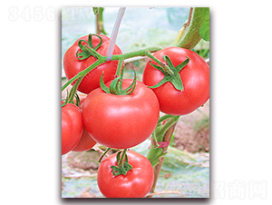 ����1626-��������-³����ҵ