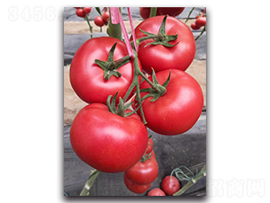 ����108-��������-³����ҵ