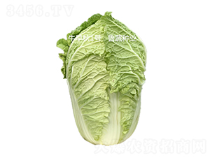 ţ����1��-�ײ�����-³����ҵ
