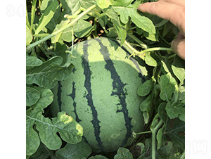 ����105-��������-����ũҵ