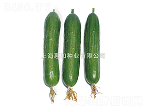 ����03-�ƹ�����-�ݺ���ҵ
