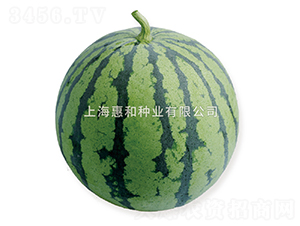 �޷�-��������-�ݺ���ҵ