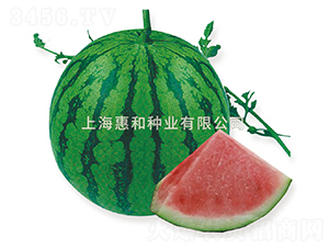 ���8424-��������-�ݺ���ҵ