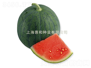 ����-��������-�ݺ���ҵ