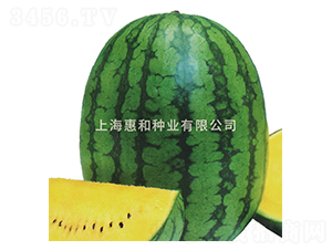 �紺����-��������-�ݺ���ҵ