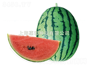 ����-��������-�ݺ���ҵ