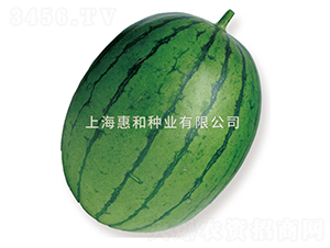 ���ͷɺ촬-��������-�ݺ���ҵ