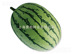 �紺�������-��������-�ݺ���ҵ