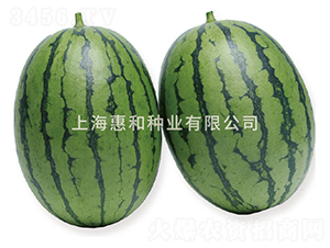 �紺����-��������-�ݺ���ҵ