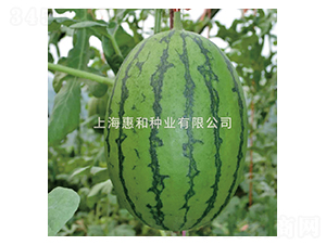 ���Ǵ���-��������-�ݺ���ҵ
