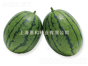 Fr�紺����-��������-�ݺ���ҵ